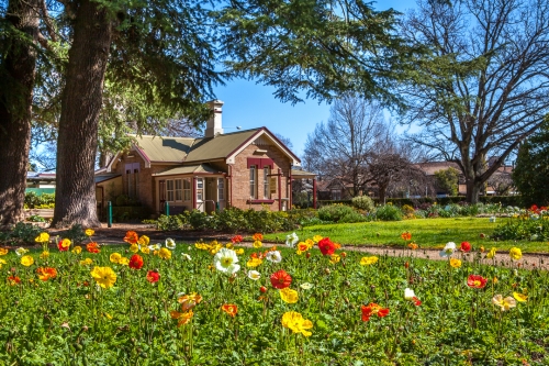Cook Park